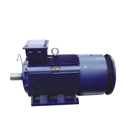 Special motor for sand making machine